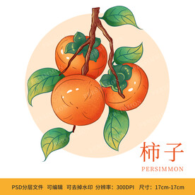 手绘水果柿子包装插画
