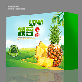 菠萝包装盒