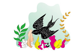 燕窝产品手绘矢量插画