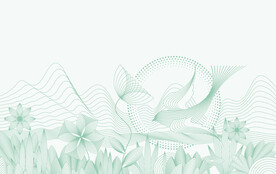 燕窝品牌包装手绘矢量插画