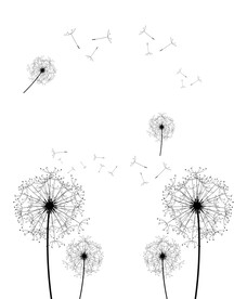 高清分层透明底推拉门打印图