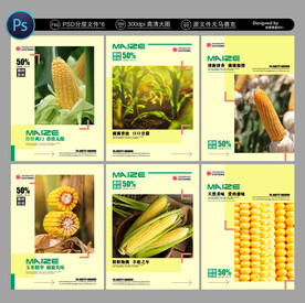 玉米海报