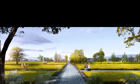 乡村田园稻田景观设计效果图