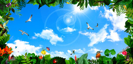 蓝天白云软膜天花