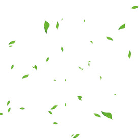 插画绿叶装饰元素