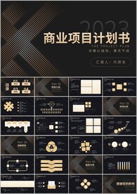 简约金色商业计划书ppt