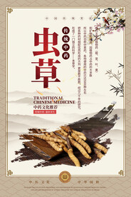 虫草中药海报