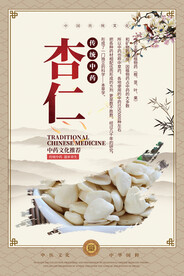 杏仁中药海报