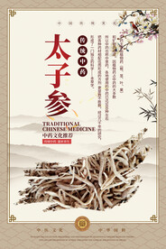 太子参中药海报