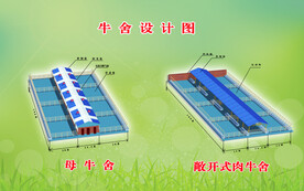 牛舍结构效果图