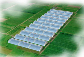 温室大棚连片示范