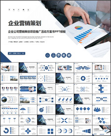 企业营销策划PPT