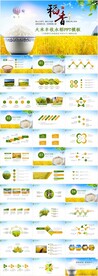 水稻农田绿洲大米PPT模板农业