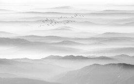 新中式水墨装饰画