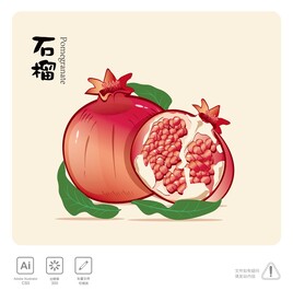 石榴插画