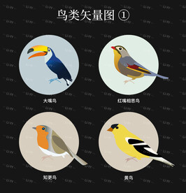 鸟类AI矢量图