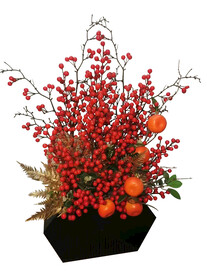 发财果 冬青红果 金桔