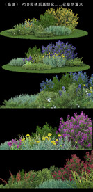 园林后期绿化设计