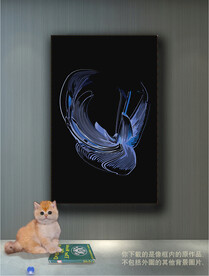 南美轻奢抽象装饰画