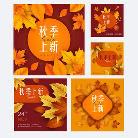 秋季上新