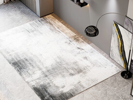 客厅场景 地毯背景