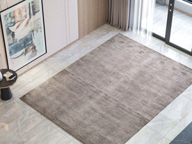 现代客厅空场景 地毯背景