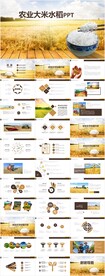 水稻农田绿洲大米PPT模板农业