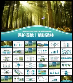 湿地环境保护生态森林业PPT