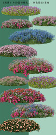 杂色花坛草地