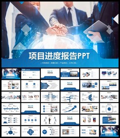 项目进度汇报总结PPT