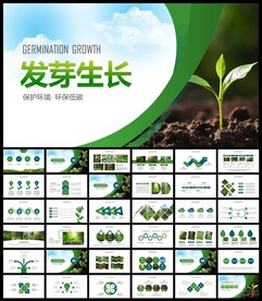 植物发芽生长敬畏生命PPT