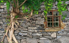 3D复古树根树藤风景背景墙