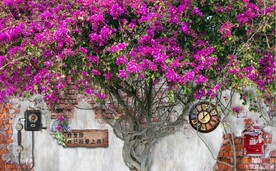 欧美田园风家居场景背景墙壁画