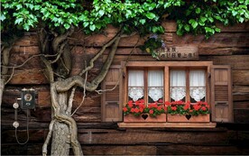 欧美田园风家居场景背景墙笔画