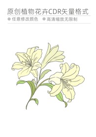 植物花卉cdr格式