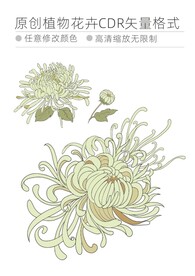 植物花卉cdr格式