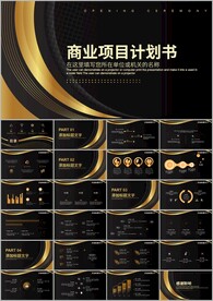 创业项目融资商业计划书书ppt