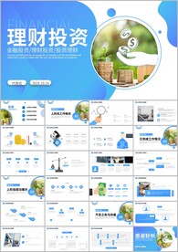 商务风投资理财实践计划PPT