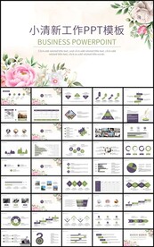 通用小清新花卉工作总结PPT