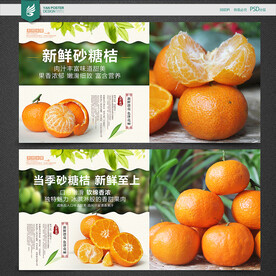 砂糖桔海报
