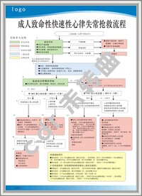 成人致命性快速性心率失常抢救流