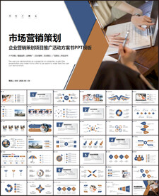 项目营销策划PPT
