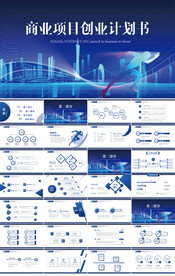 蓝色商业项目创业计划书PPT