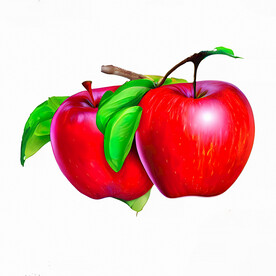 手绘苹果