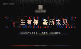 黑金开盘说明会活动主画面