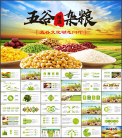 五谷杂粮农产品介绍宣传PPT