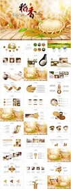 水稻农田绿洲大米PPT模板农业