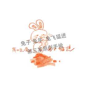 兔子 兔年  兔飞猛进