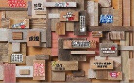 网络流行语电视背景墙壁画