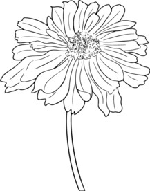 手绘菊花矢量素材